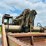 1982-caterpillar-621b-image-79