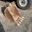 case-580-image-2