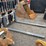 #2023-•-72"-loader-pallet-forks-image-2