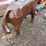 #6040-•-metal-bull-smoker-image-5