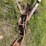 serco-8500-image-92