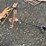 #6089-•-weather-vane-image-1