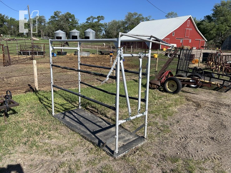 show-cattle-fitting-chute-4112-image-3