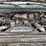 2008-ford-f350-image-19