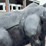 #6020-•-metal-bear-statue-image-9
