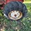 (inop)-allis-chalmers-farm-tractor-image-10