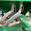 bbi-cricket-image-17