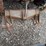 bobcat-753-image-4
