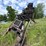 serco-8500-image-38