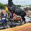 #6005-•-metal-elk-statue-image-6