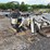 2023-bobcat-e10-image-2