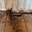 used-1992-/-20’-storage-container-image-29