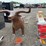 #6040-•-metal-bull-smoker-image-1