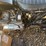 #3023-•-1974-triumph-motor-cycle-image-7