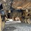 case-ih-stx440-quad-image-67