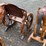 #6064-•-wooden-wagon-wheel-bench-image-2