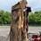 new-idea-7-image-4