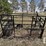 four-wheeler-calf-catcher-rolin-mfg.-image-2