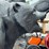 #6020-•-metal-bear-statue-image-10