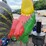 #6019-•-76"-tall-metal-rooster-image-6