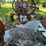 (inop)-allis-chalmers-farm-tractor-image-42