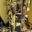 1973-mack-rl786lst-4401-image-22