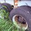 1985-fruehauf-trailer-image-8
