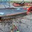new-idea-5407-image-1