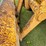 1989-john-deere-310-image-23