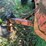 (inop)-allis-chalmers-farm-tractor-image-53