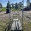 show-cattle-fitting-chute-4112-image-6