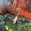 (inop)-allis-chalmers-farm-tractor-image-24