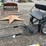 #6013-•-pony-cart-image-1