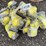 #6046-•-qty(16)-ratchet-straps-image-1