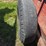 new-idea-215-image-10