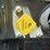 2010-freightliner-mt55-image-25