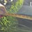 2016-norwood-kwik-till-hsd4075-image-37