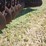 case-ih-496-image-15