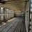 2010-merritt-livestock-image-35