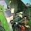 2011-john-deere-956-image-27