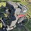 brandt-635-image-20