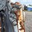 compact-track-loader-skid-steer-image-12