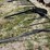 meteer-8-row-30''-corn-reel,-came-off-jd-corn-head.-image-9