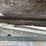 2009-giesler-lake-nipissing-18-ft-cedar-strip-zgs1-image-28