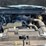ford-f350-image-17