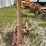 case-ih-1300-image-3
