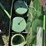 john-deere-336-image-30