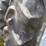 2017-case-ih-magnum-250-cvt-image-66
