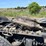 2012-freightliner-cascadia-125-image-21