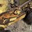 degelman-rock-picker-3911-image-14